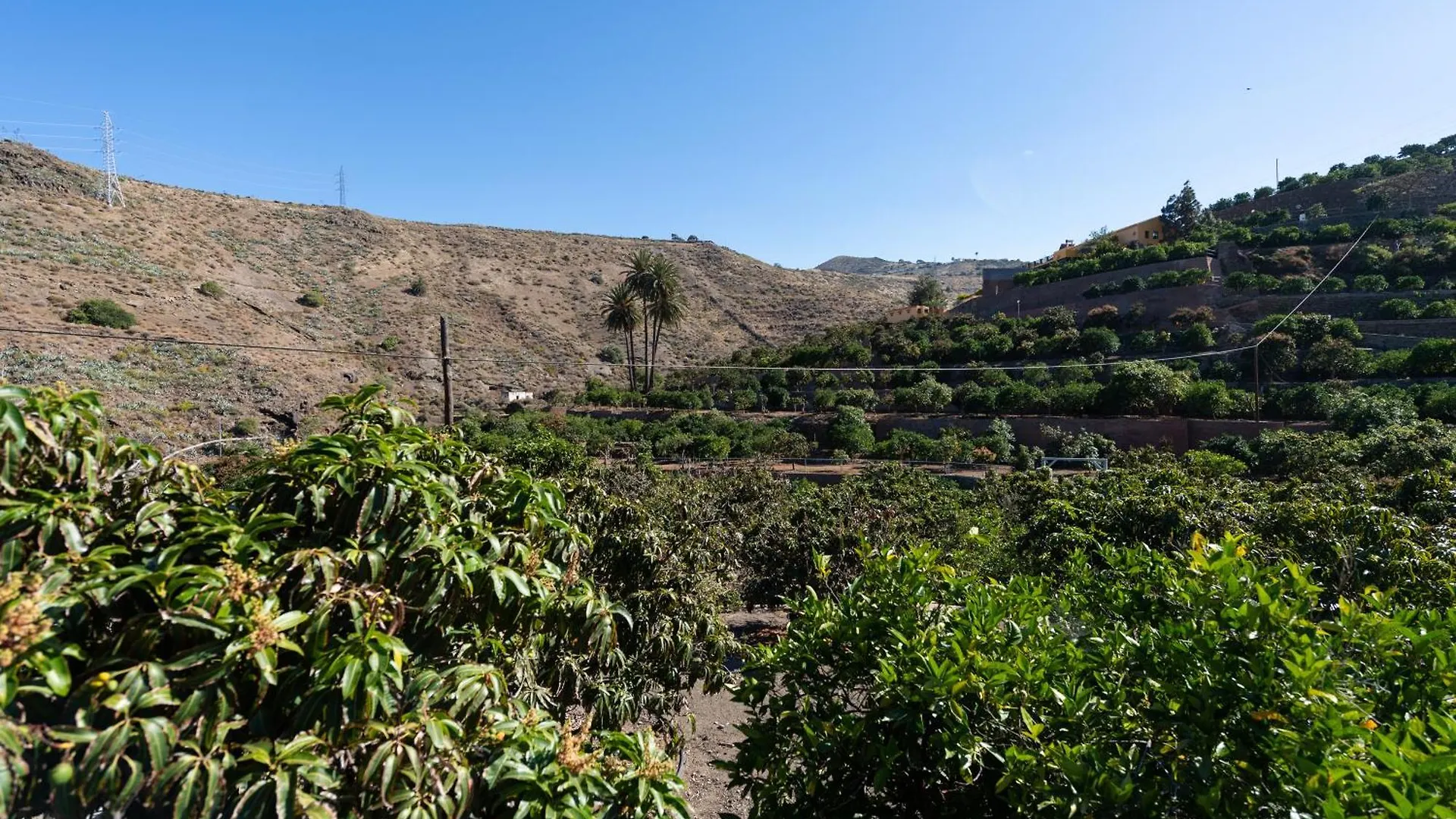 Finca Oasis Holidays & Health - Charming Villas Balcon de Telde